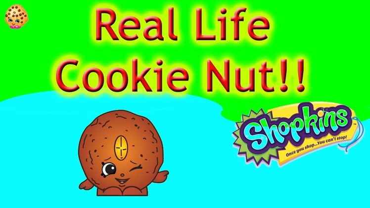 Shopkin Videos DIY Cookie Nut - Shopkins DIY Season 4,cookie swirl c inspired,shopkins diy