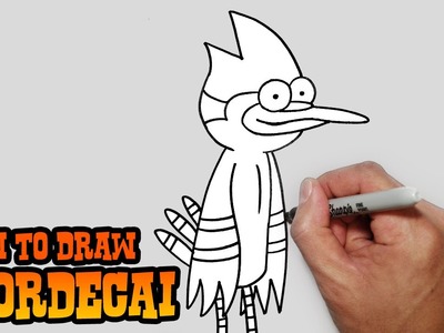 How to Draw Mordecai- Regular Show- Video Lesson