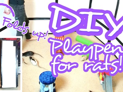 Easy DIY Foldable Playpen for Rats