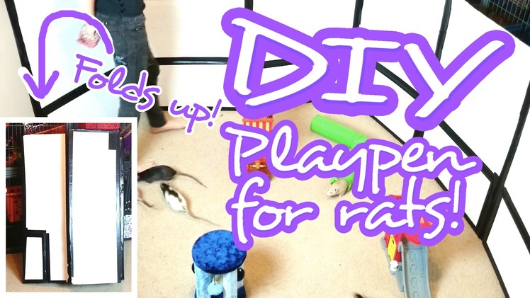 Easy DIY Foldable Playpen for Rats