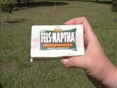 Fels-Naptha not just for clothes.