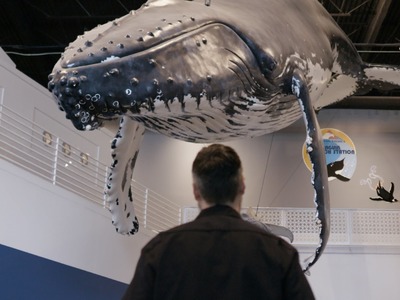 A Whale of a Task: Sculpting Model Giants by Hand