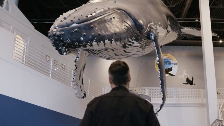 A Whale of a Task: Sculpting Model Giants by Hand