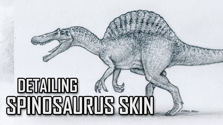 Drawing Spinosaurus Jurassic Park III - Detailing Spinosaurus Skin.