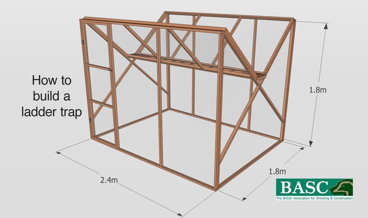 How to Build a Ladder Trap