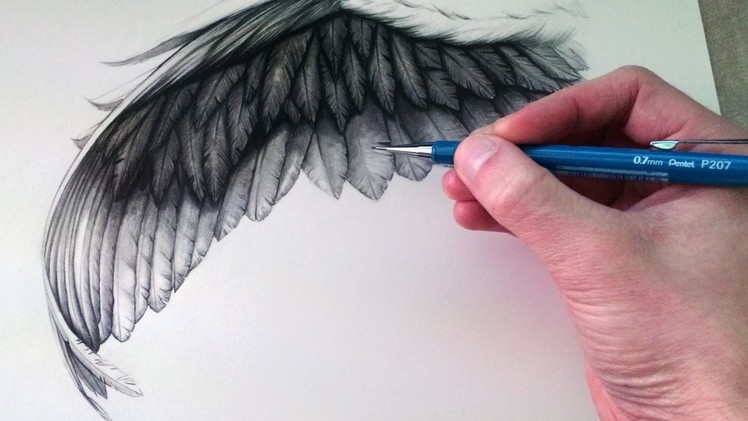 How to Draw a Wing