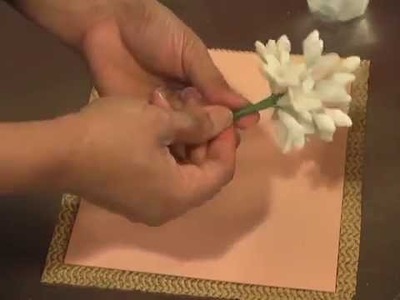 Making a Gumpaste African Lily Flower by Petal Crafts