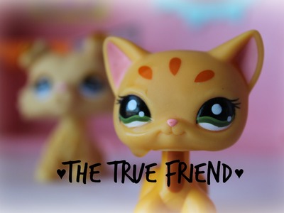 The True Friend - Short Film | LpsBelieve TV