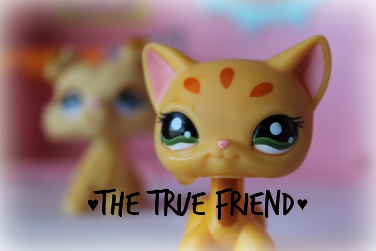 The True Friend - Short Film | LpsBelieve TV