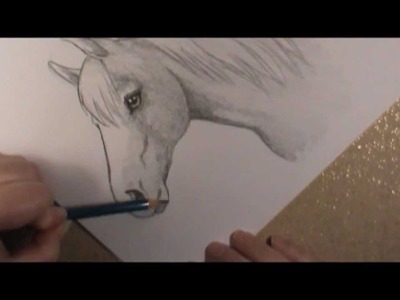 How to Draw a Horse head!