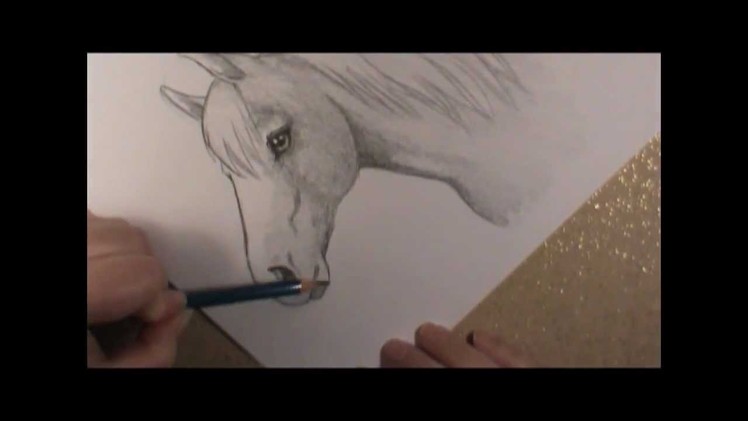 How to Draw a Horse head!