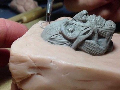 How to Sculpt Ecorche Hercules - Part 80 Boiling and Mold Making - Ecorche Head