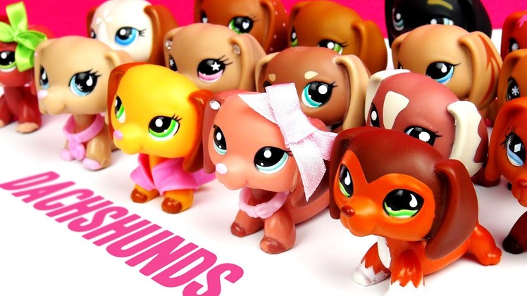 All My LPS Dachshunds! [UPDATED]