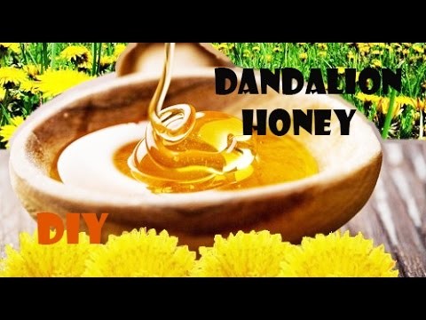 DIY: How to make DANDELION HONEY (great old recipe)