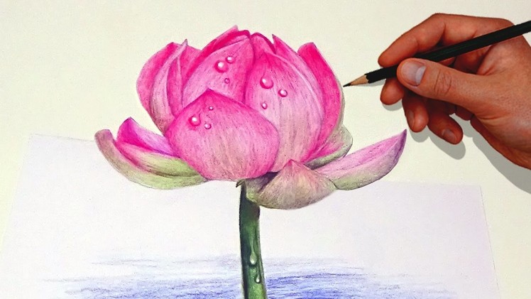 Drawing A Lotus Flower With Simple Colored Pencils |