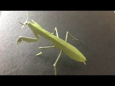 Let's try to make "Kiriorigami" paper mantis