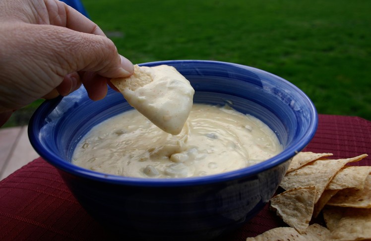 How To Make White Cheese Dip - A Creamy Cheesy Appetizer by Rockin Robin