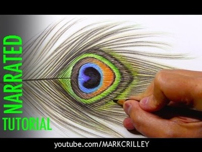 Colored Pencils: Tips and Techniques [Peacock Feather]