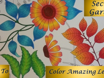 How To : Color Amazing Leaves | Secret Garden Coloring Book
