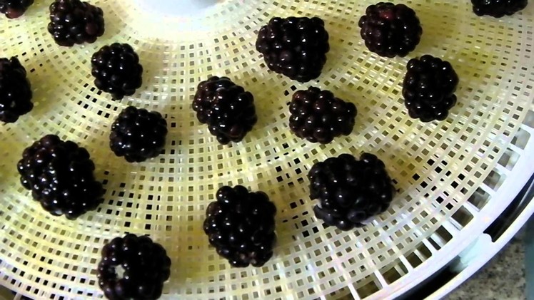 How to Dehydrate Blackberries