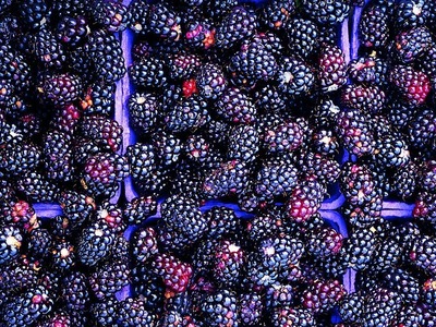 How to Prepare Blackberry Jam Cake | P. Allen Smith Cooking Classics