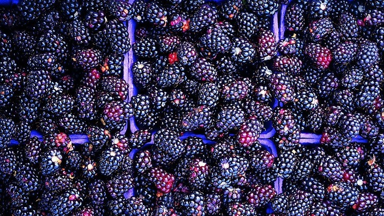 How to Prepare Blackberry Jam Cake | P. Allen Smith Cooking Classics