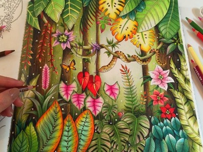 MAGICAL JUNGLE | Adult Coloring Book by Johanna Basford | Coloring With Colored Pencils