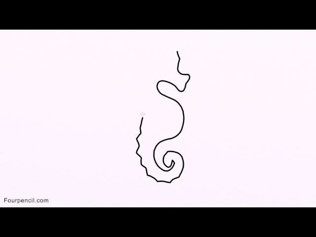 1567 how to draw seahorse step by step drawing lesson