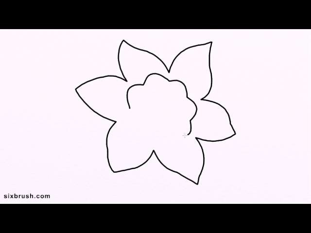 E 3256 how to draw daffodil easy for beginners step by step