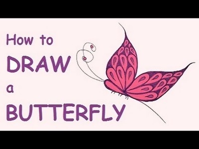 How to draw a BUTTERFLY