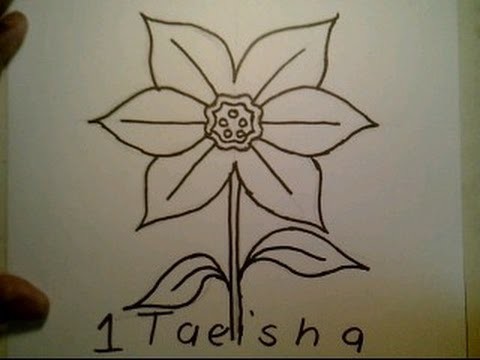 How To Draw A Daffodil flower easy Como dibujar una flor del narcisa