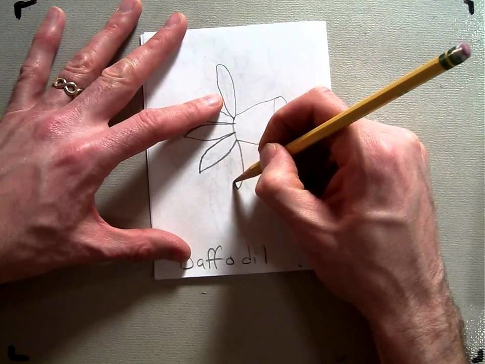 How to draw a Daffodil (Part6.9).MOV