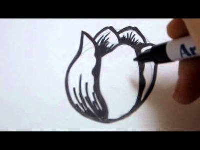 How To Draw A Flower -  Tulip Flower