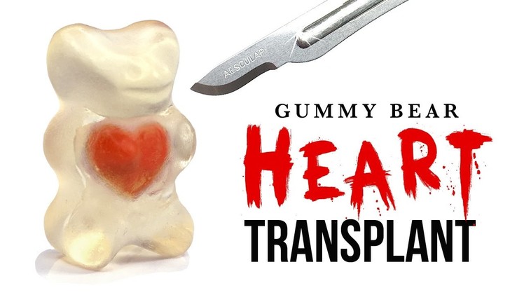 DIY Gummy Bear HEART Transplant! ASMR Halloween!
