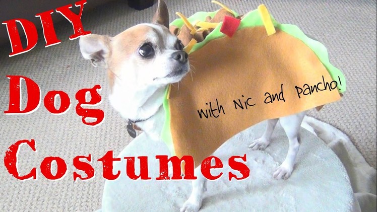 DIY Halloween Dog Costumes! ♥  Nic and Pancho Collaboration