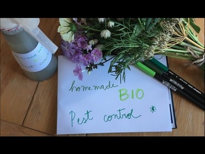 DIY natural homemade BIO pest control against leafhoppers