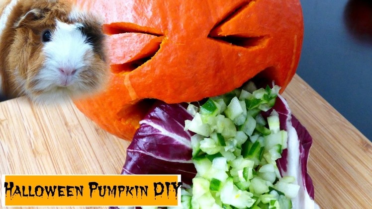 Halloween Vomiting Pumpkin Veggie DIY for Guinea Pigs