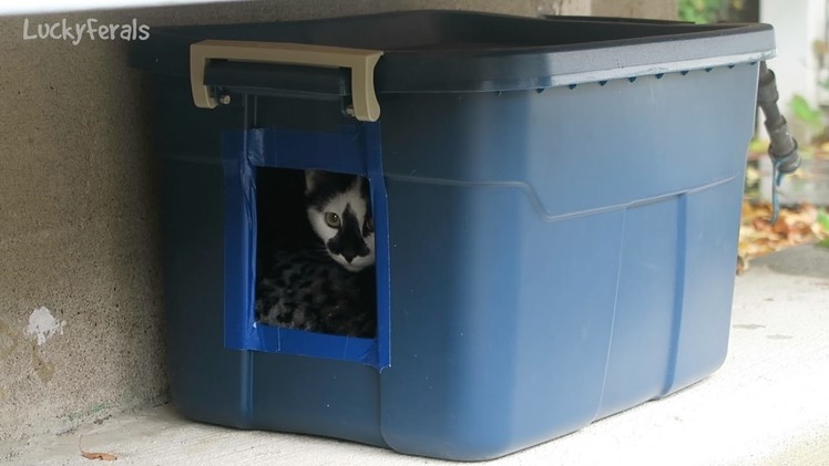 Making Another DIY Feral Cat Shelter For Outdoor Cats