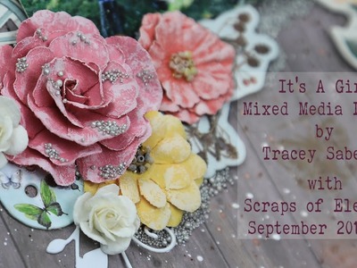 Scraps of Elegance September 2016 Kit ~ DIY It's A Girl Mixed Media Layout - BoBunny Bella Rosa