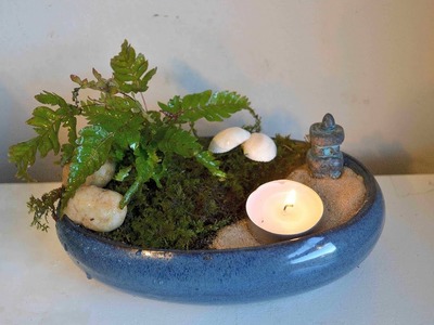 DIY Miniature Fairy Meditation Garden