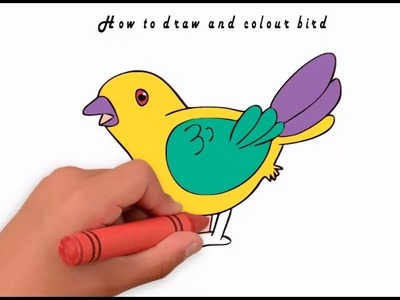 How to draw and colour bird | learn to draw bird