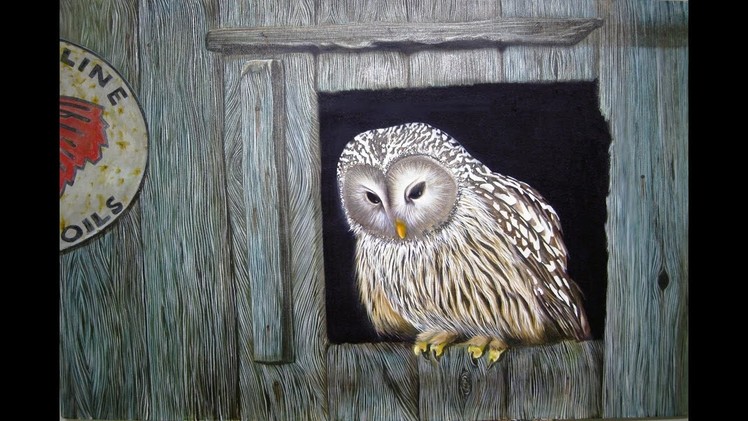 Art lesson : How to paint an Owl with Dimension Acrylic Paint