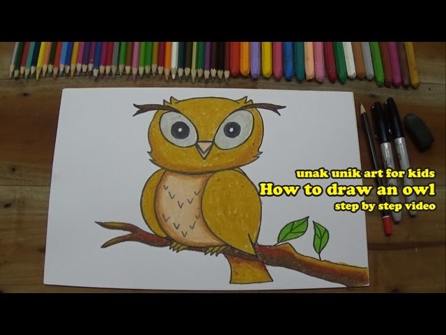 How to draw an owl, for kids, step by step instruction.
