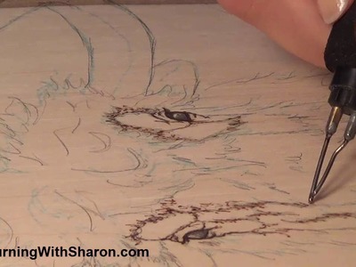 Pyrography: How To Begin Woodburning a Yak or Bison