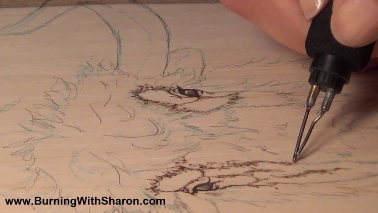 Pyrography: How To Begin Woodburning a Yak or Bison