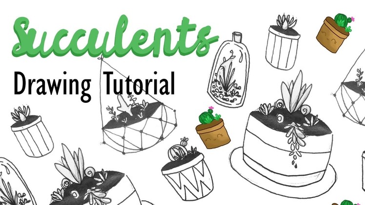 How to Draw Succulents