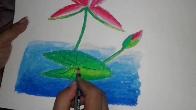Drawing tutorial:How to draw a  waterlily for the beginner.