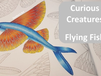 How to: Color a Flying Fish | CURIOUS CREATURES by Mille Marotta