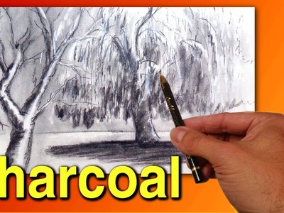 How to Draw Trees and Willows with Charcoal: Drawing Techniques