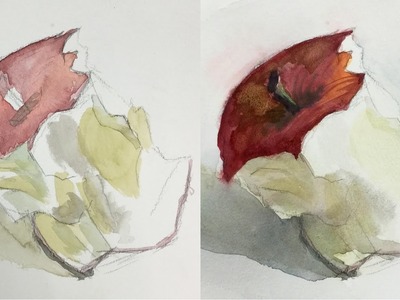 How to Refine and Finish a Watercolor Painting of an Eaten Apple